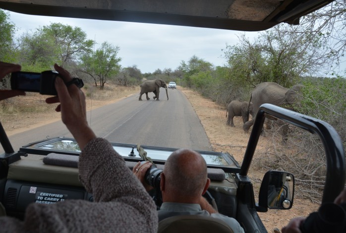 Kleurrijk Zuid-Afrika