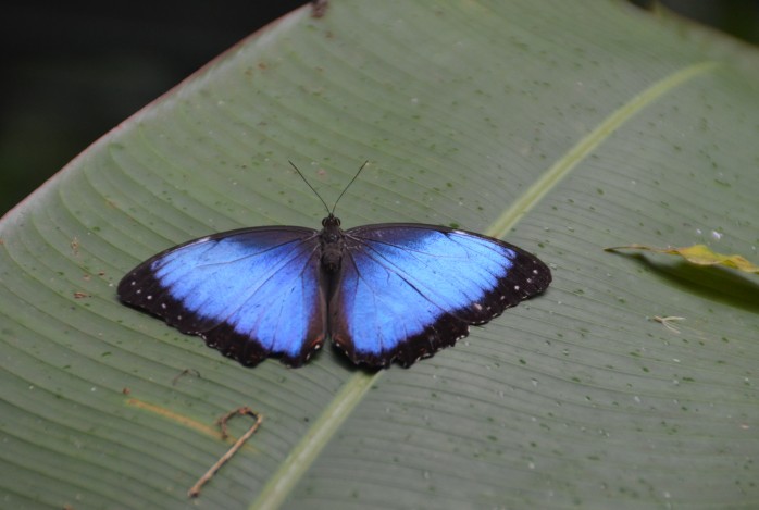 Costa Rica