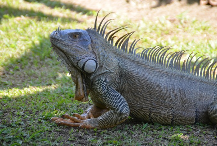 Costa Rica