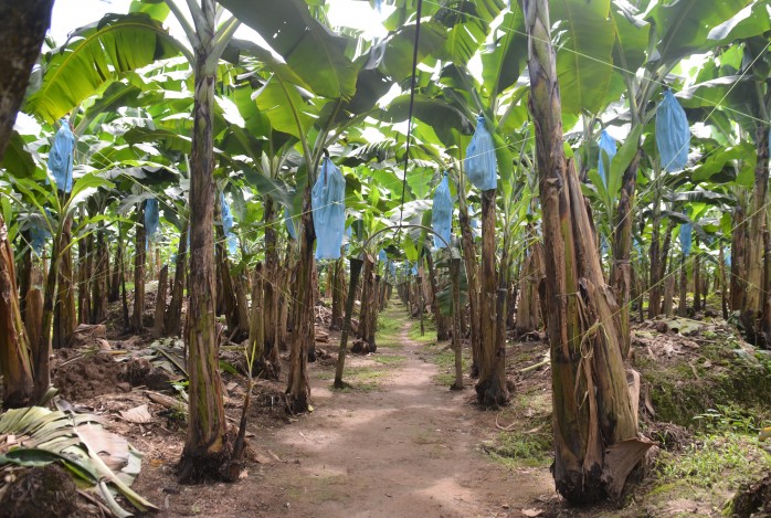 Costa Rica