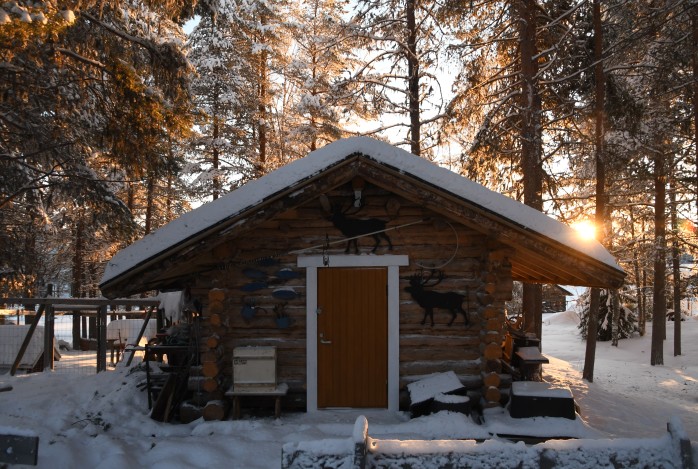 Winterreis Lapland