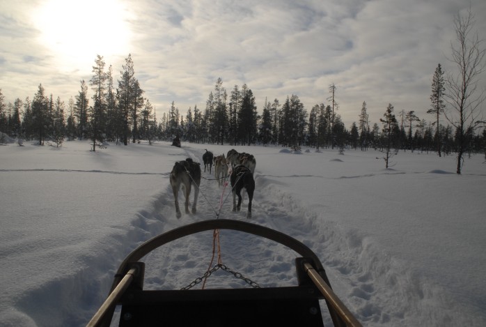 Winterreis Lapland