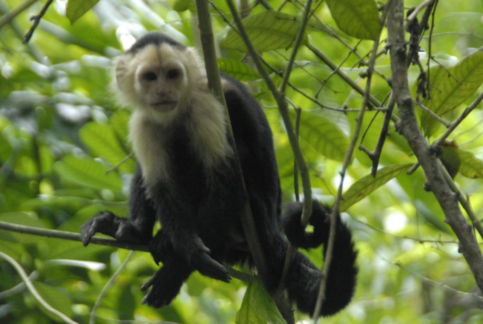Costa Rica