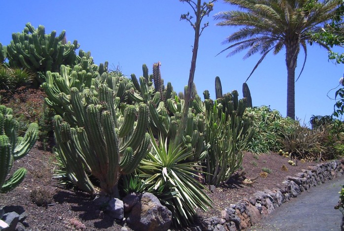 MSC Cruise langs Canarische Eilanden & Madeira