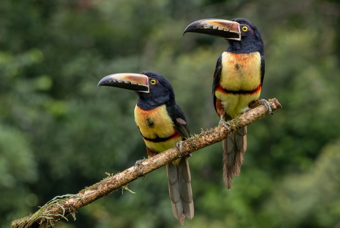 Costa Rica